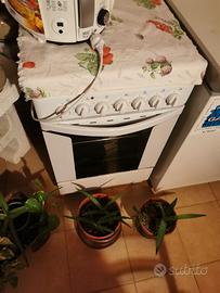 cucina a gas indesit  60x60