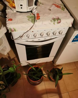 cucina a gas indesit  60x60