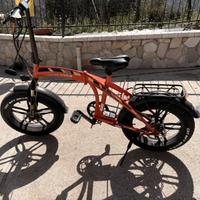 Bici elettrica