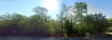 Terreno seminativo arborato classe 2