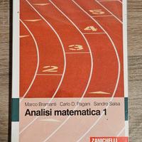 Analisi Matematica 1 - BRAMANTI PAGANI SALSA