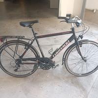 Bici da uomo con canna