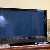 Televisore Pioneer 43 pollici