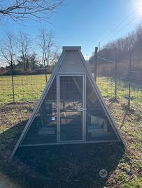 Pollaio professionale