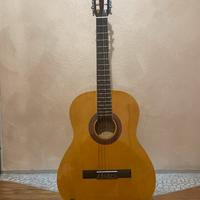 chitarra eko