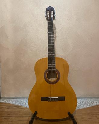 chitarra eko