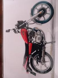 moto castom