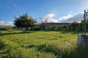 Terreno per orto urbano