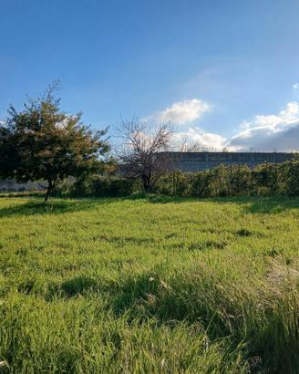 Terreno per orto urbano