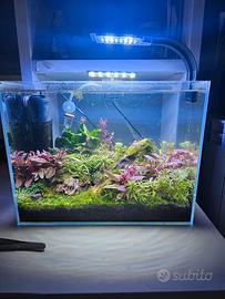 Acquario completo