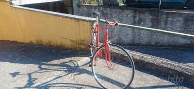 bici da uomo