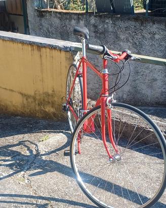 bici da uomo
