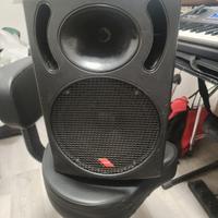 cassa audio  amplificata della Proel  