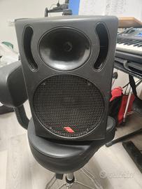 cassa audio  amplificata della Proel  