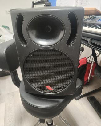 cassa audio  amplificata della Proel  