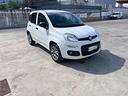 fiat-panda-0-9-natural-power-van-2-posti