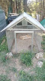 POLLAIO BANTAM PLUS PIÙ RECINZIONE