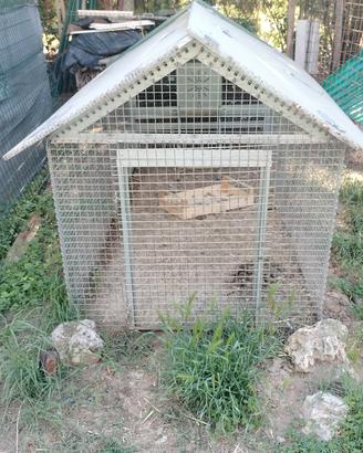 POLLAIO BANTAM PLUS PIÙ RECINZIONE
