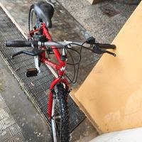 MTB 24 pollici