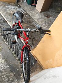 MTB 24 pollici