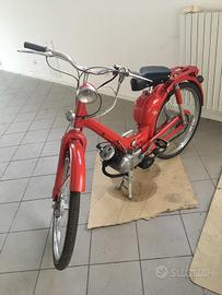 Lambrettino 48