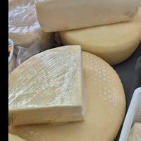 Provole formaggi