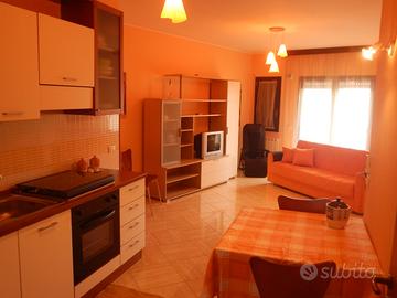 Appartamento nei pressi dell'istituto agrario