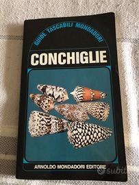 Libro conchiglie anni ‘70