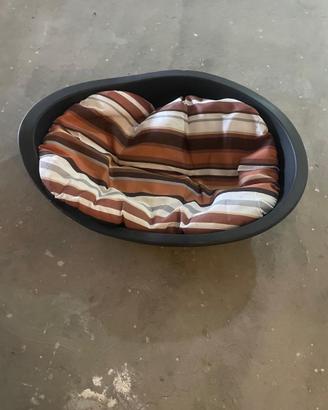 Fagiolo e cuscino per cane