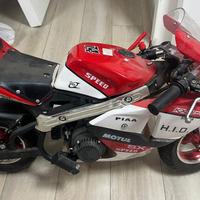 Mini moto 4cv