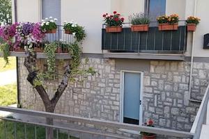 Vendita appartamento a Poggibonsi