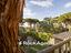 Immagine 10