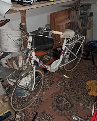 bici versione graziella 