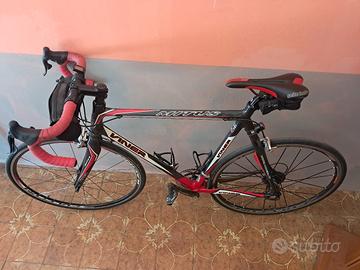 wilier 