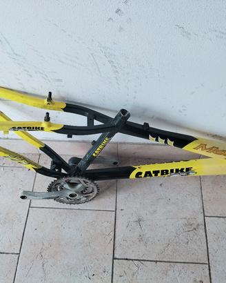 Telaio bici 24