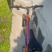 Mountain bike nuova