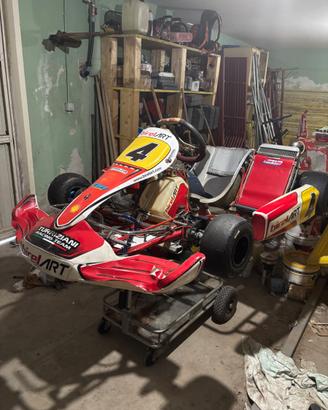 Birel art 125