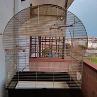 Gabbia volatili Imac
