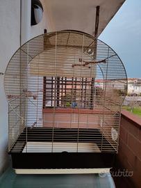 Gabbia volatili Imac