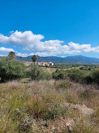 Terreno libero edificabile da lottizzare