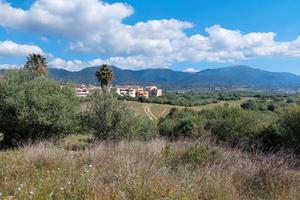 Terreno libero edificabile da lottizzare