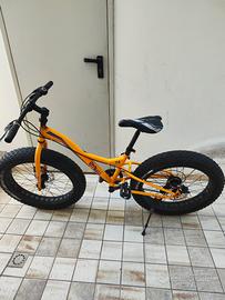 Fat Bici