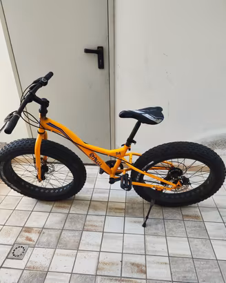 Fat Bici