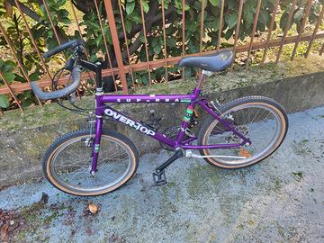 bicicletta da ragazzino/a