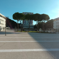 Negozio Lignano
