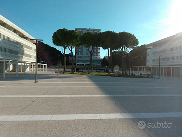 Negozio Lignano