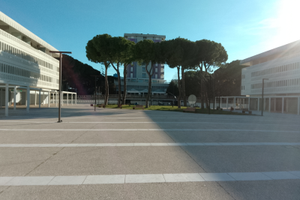 Negozio Lignano
