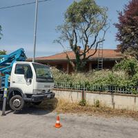sistemazione tetti e alberi