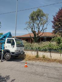sistemazione tetti e alberi