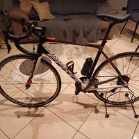 BDC SCOTT SOLACE 